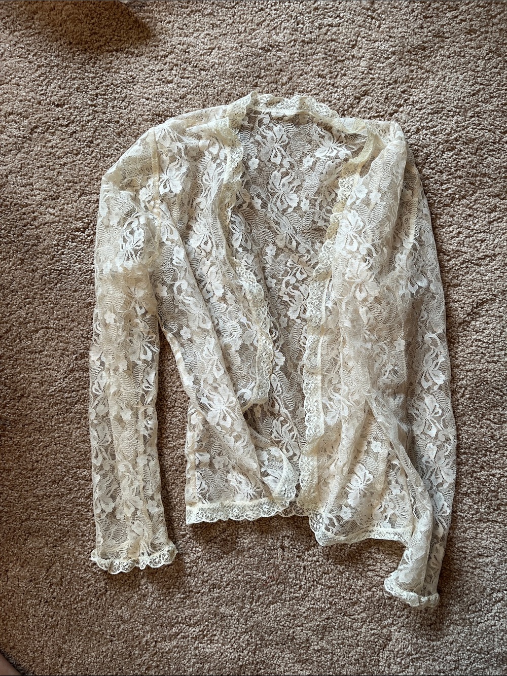 Delicate Sheer Lace Cardigan in Cream